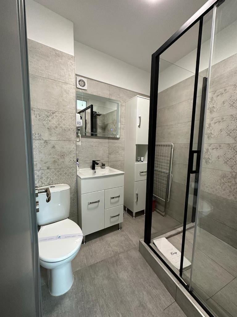 Cozy Studios In Suceava Dış mekan fotoğraf