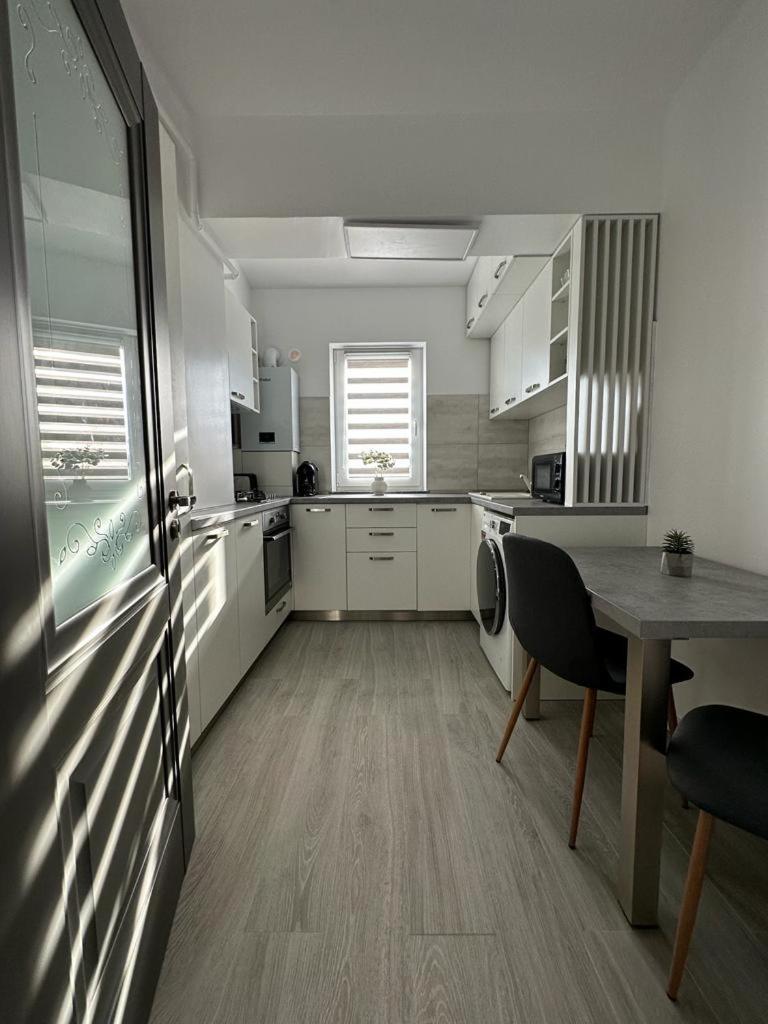 Cozy Studios In Suceava Dış mekan fotoğraf