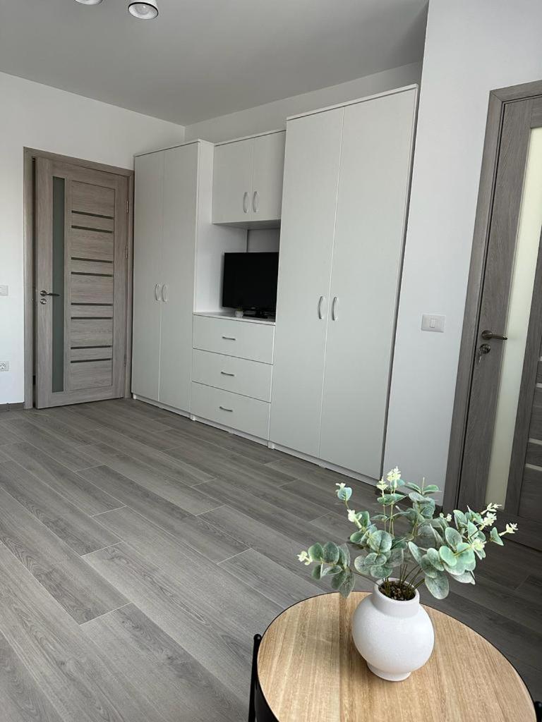 Cozy Studios In Suceava Dış mekan fotoğraf