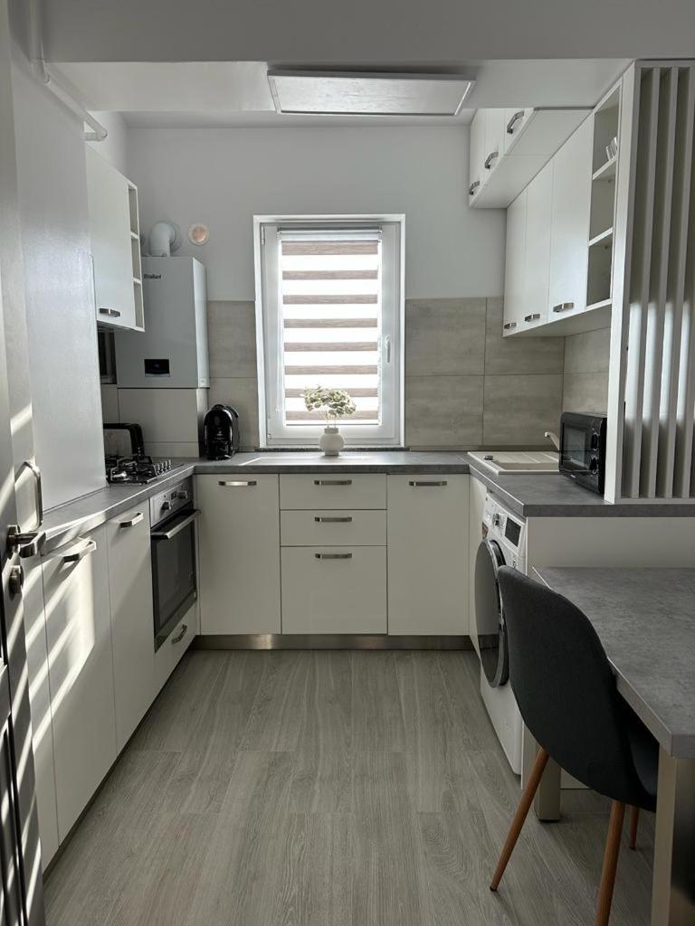 Cozy Studios In Suceava Dış mekan fotoğraf