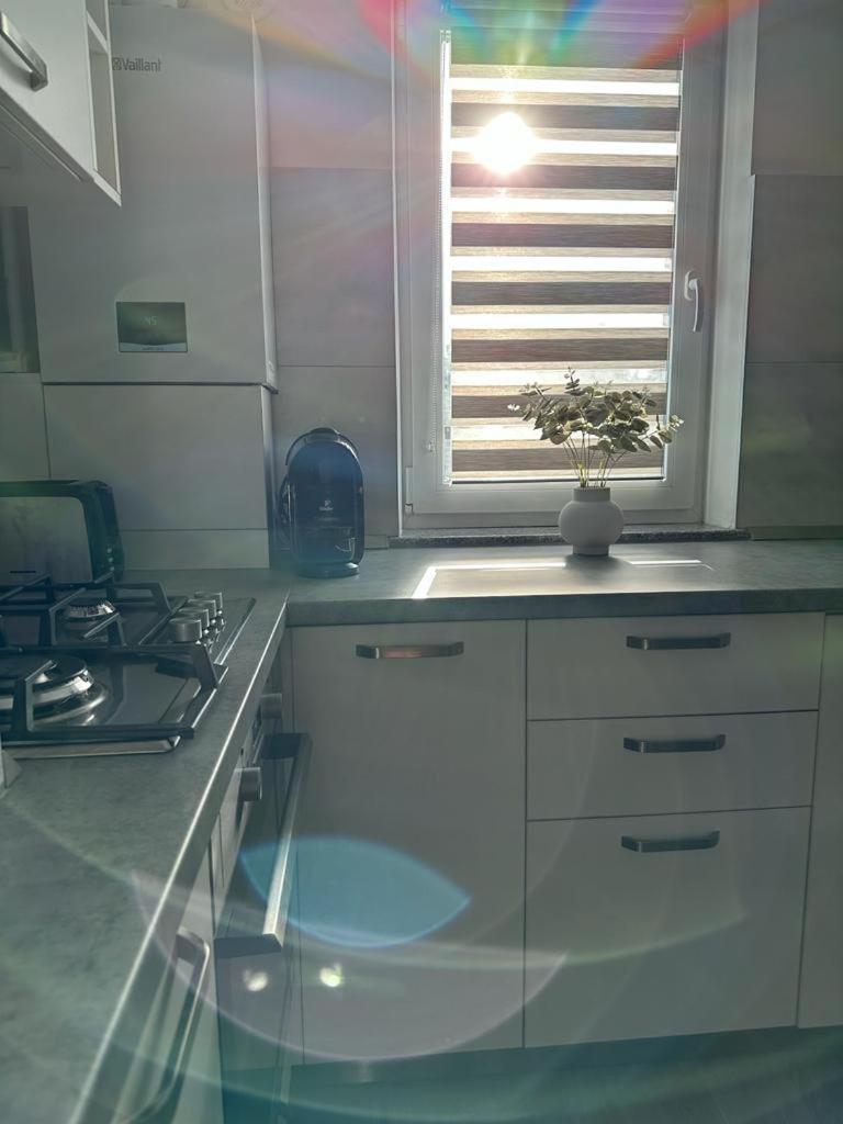 Cozy Studios In Suceava Dış mekan fotoğraf